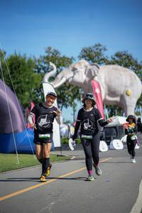 BIB: 
                            <button type="button" onclick="openModal(26543291)" class="btn btn-primary btn-sm float-right btn-popup" data-toggle="modal" data-target=".modal-high-quality">
                        <i class="fas fa-shopping-cart"></i> Add to Cart
                    </button>
                                            <button type="button" onclick="isThisMe(26543291, true)" class="btn btn-success btn-sm float-right btn-popup btn-isme hidden" data-toggle="tooltip" data-placement="bottom" title="นี่คือรูปของคุณใช่ไหม คลิกที่นี่เพื่อเอาเข้าอัลบั้ม">
                        <i class="fas fa-plus"></i> Add to album
                    </button>
                    <button type="button" onclick="isThisMe(26543291, false)" class="btn btn-warning btn-sm float-right btn-popup btn-isnotme hidden">
                        <i class="fas fa-ban"></i> Remove from album
                    </button>